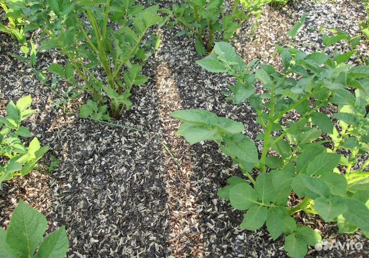 Грибные блоки (Удобрения)