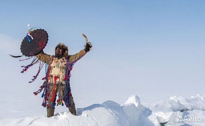 Чай пуэр « Космос шаманов » шмн14683