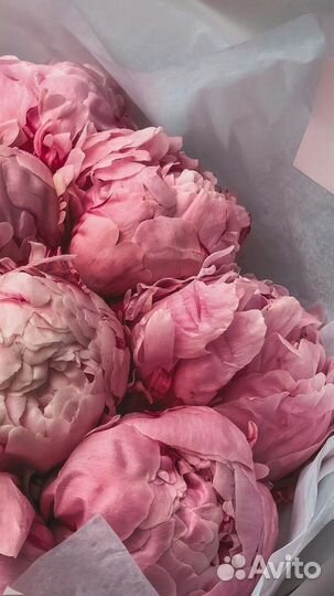 Женские вещи пакетом 42 44