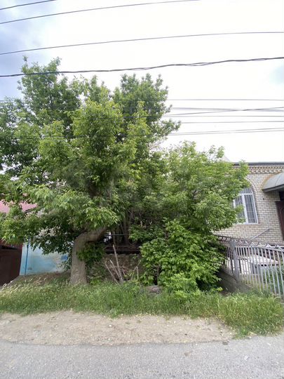 Участок 1,5 сот. (ИЖС)