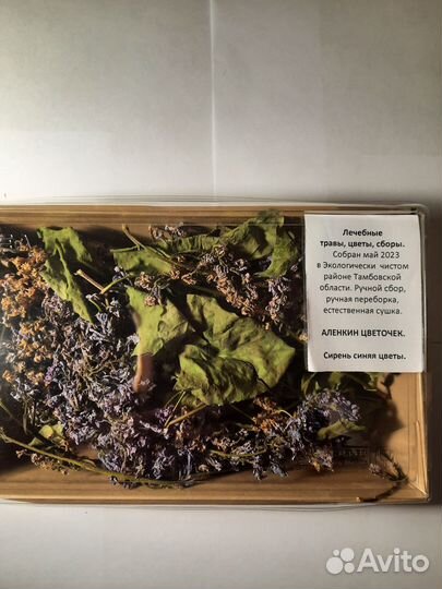 Сирень синяя цветы;белая цветы, листья