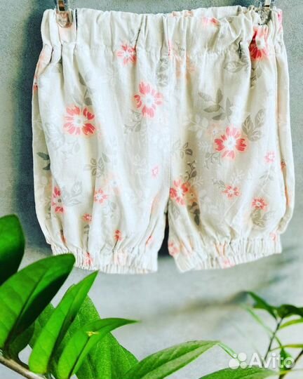 Новые хлопковые шорты