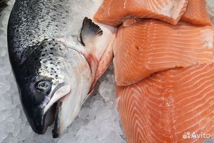 Семга свежемороженая (лосось атлантический)
