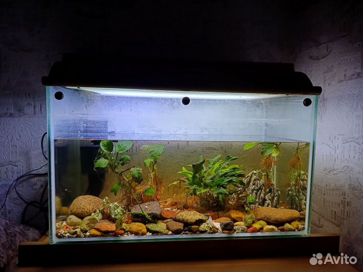 Аквариум