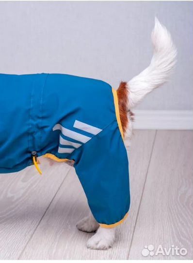 Одежда для собак