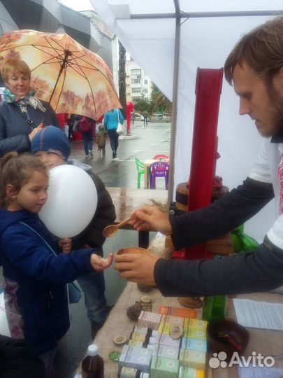 Кедровый жмых