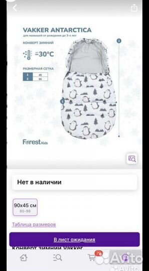 Зимний конверт