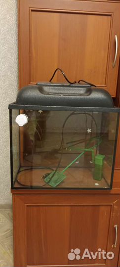 Аквариум