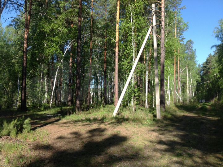 Участок 10 сот. (СНТ, ДНП)