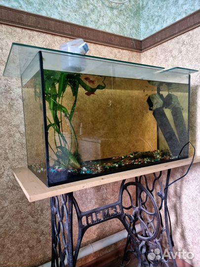 Аквариум