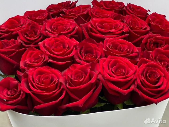 Розы Эквадор Доставка цветов 25 51 101 роза Цветы