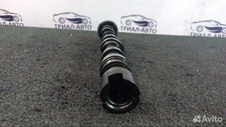 Распредвал BUG Audi Q7, Ауди Ку7