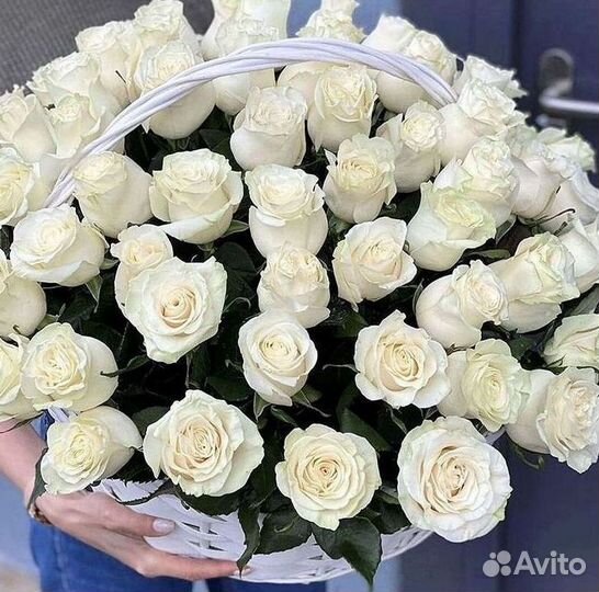 Высокие розы Гигантские розы Доставка цветов