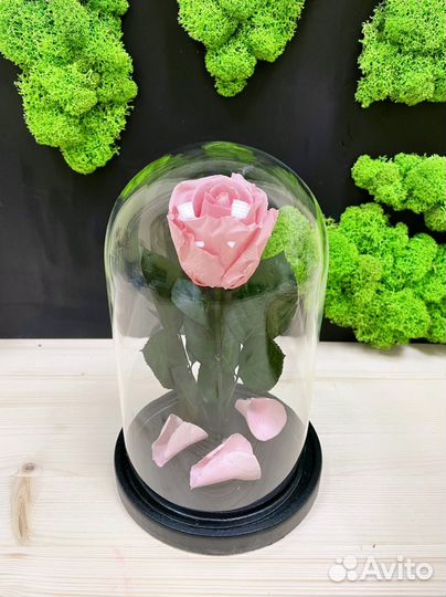 Роза в колбе