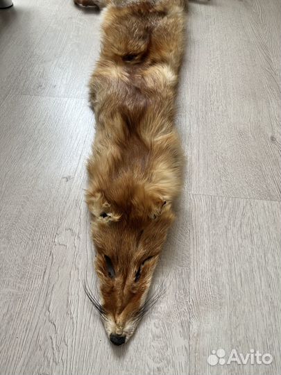 Мех лисы. (торг)