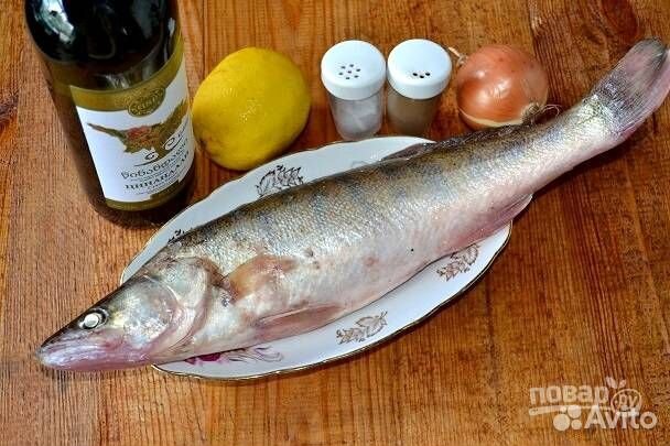 Свежий речной судак