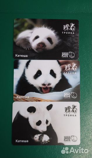 Коллекционная карта тройка Панда катюша и Диндин