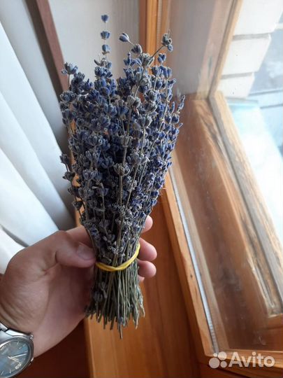 Лаванда / Сухоцвет