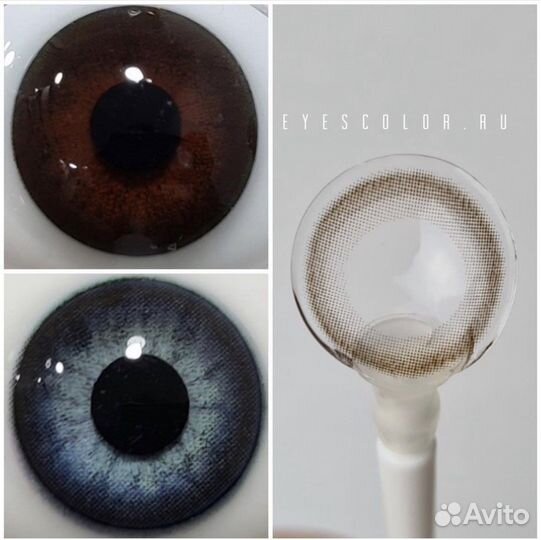 Цветные линзы DOX A 751 brown