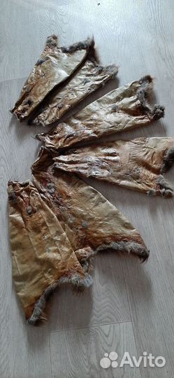 Шкура