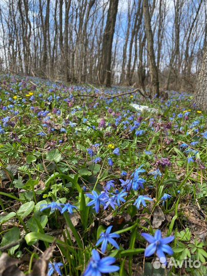 Место для отдыха, с/х животные