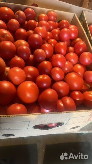 Помидоры