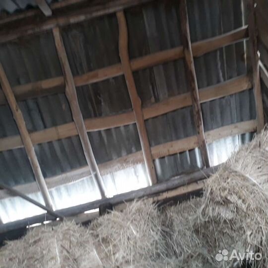 Сено в тюках