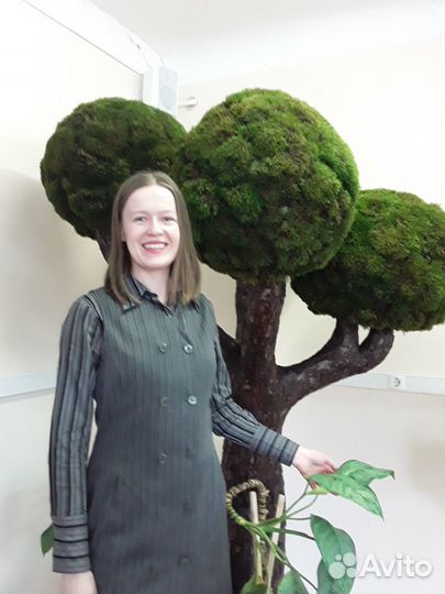 Репетитор по биологии