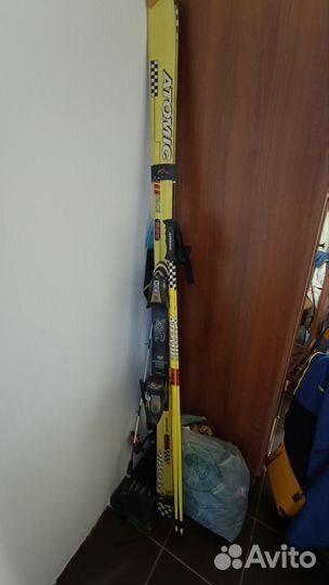 Горные лыжи