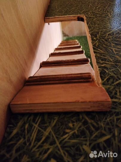 Клетка-стеллаж для грызунов