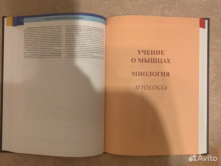 Атлас анатомии человека синельников