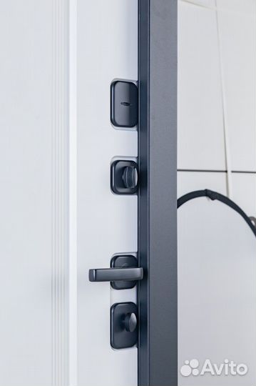 Дверь входная victoria