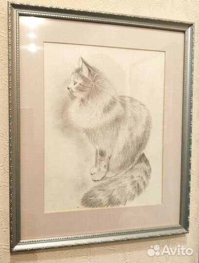 Рисую портреты домашних животных