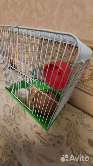 Клетка для грызунов