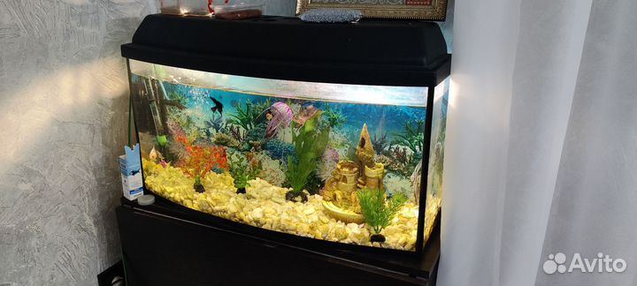 Аквариум