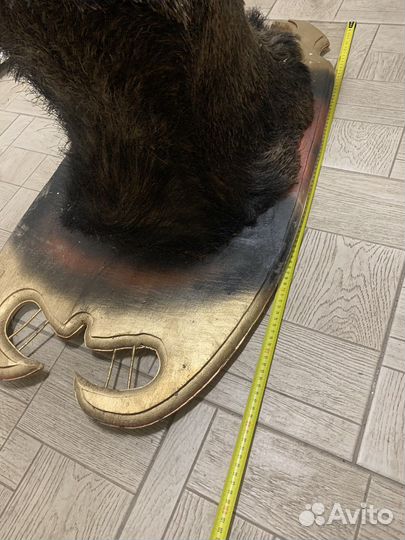 Чучело головы кабана