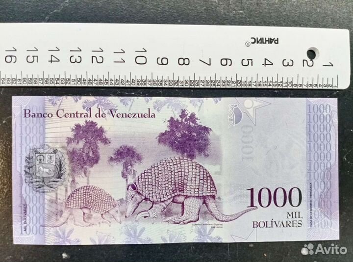 Банкнота венисуэлы