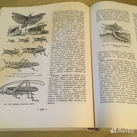 Зоология для учителя 1968 г. Яхонтов