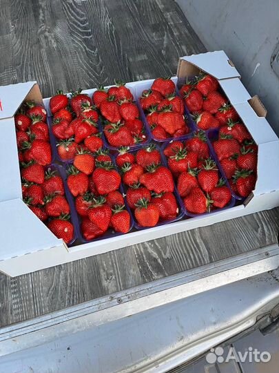 Клубника свежая Турция