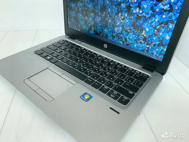 12 дюймов AMD A8 SSD HP EliteBook 725 Ноутбук