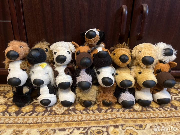 The Cat Collection