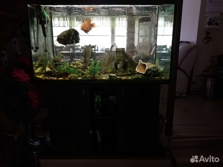Аквариум с полным комплектом