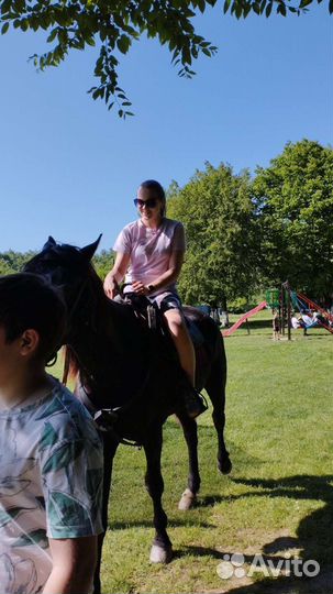 Конные прогулки