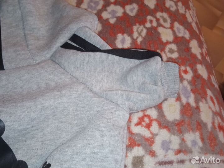 Одежда для маленьких собак L