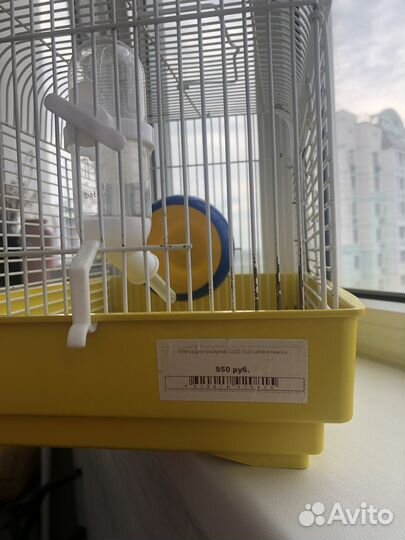 Клетка для грызуна и наполнитель