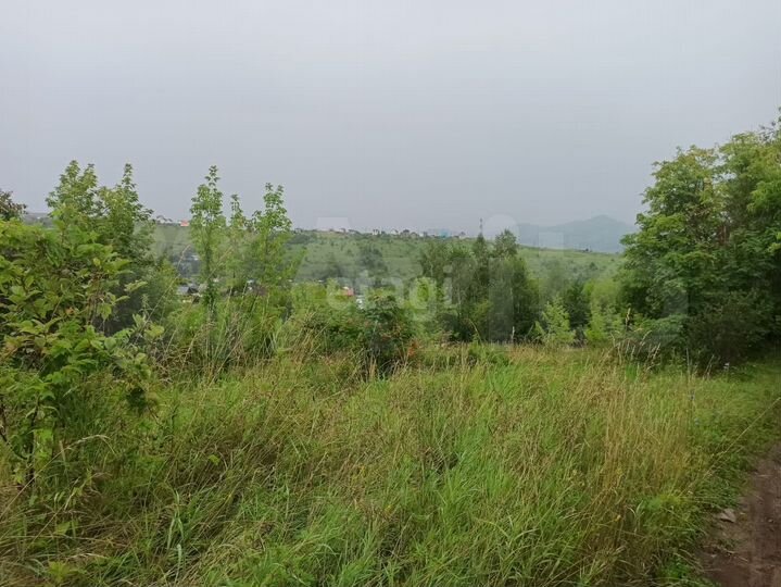 Участок 4 сот. (СНТ, ДНП)