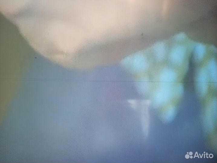 Телевизор Philips 43PUT6101/60, 43