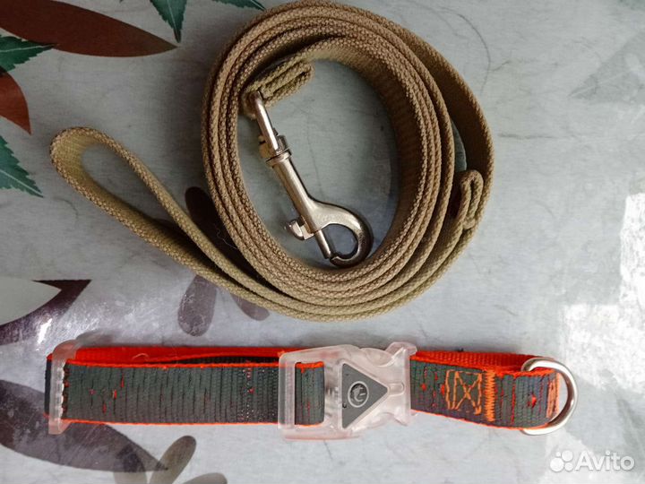 Ошейник и поводок