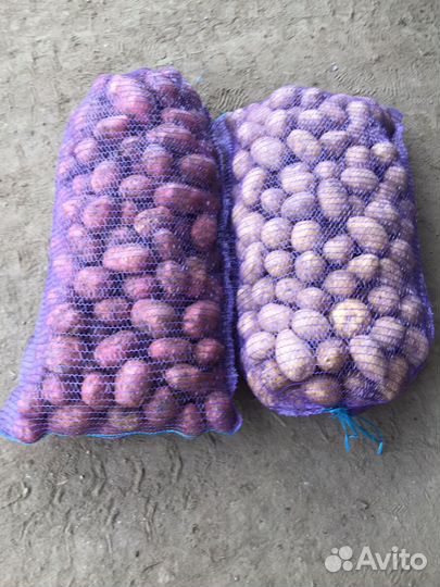 Отличный картофель