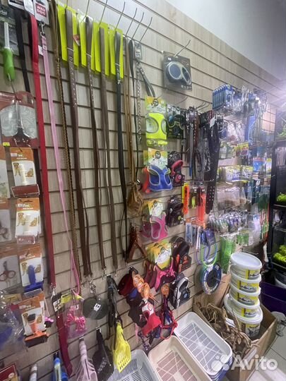 Ошейники и шлейки для собак